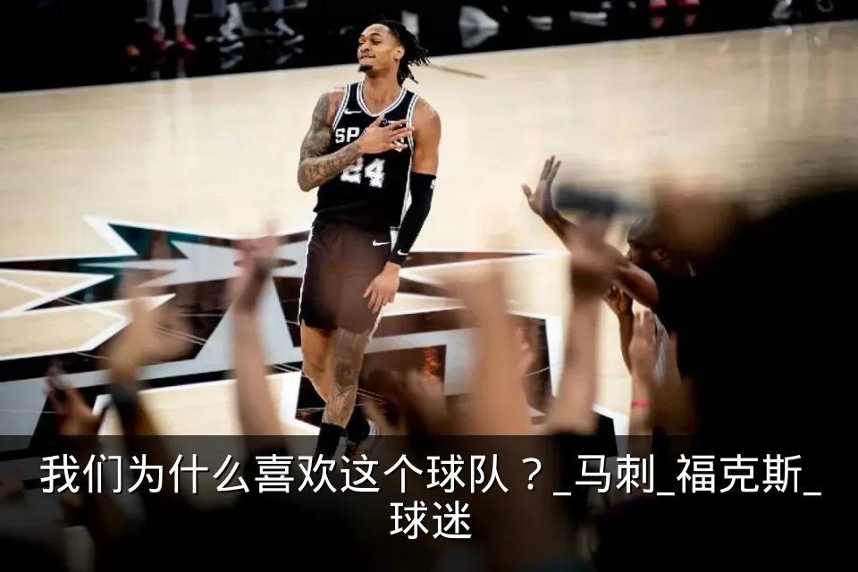 我们为什么喜欢这个球队？_马刺_福克斯_球迷